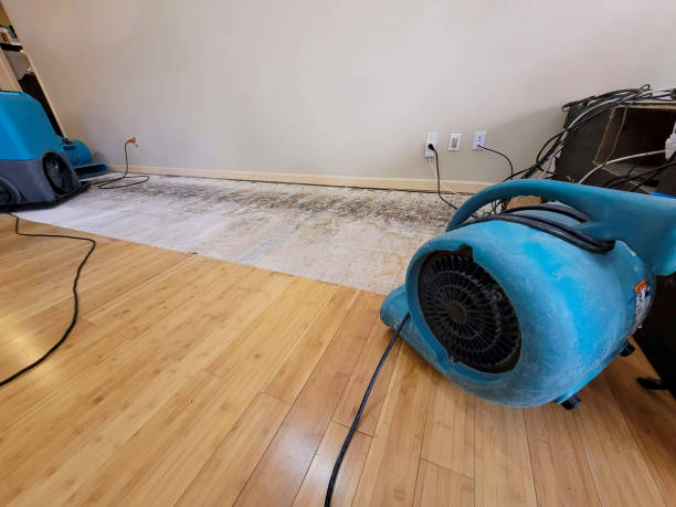 Professional Basement Flood Cleanup technician working in Mount Pleasant, TX